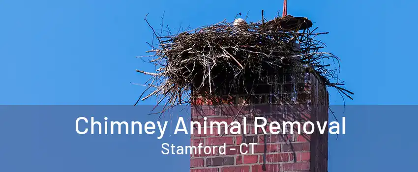 Chimney Animal Removal Stamford - CT