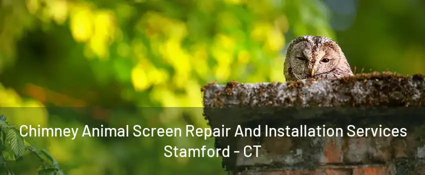 Chimney Animal Screen Repair And Installation Services Stamford - CT