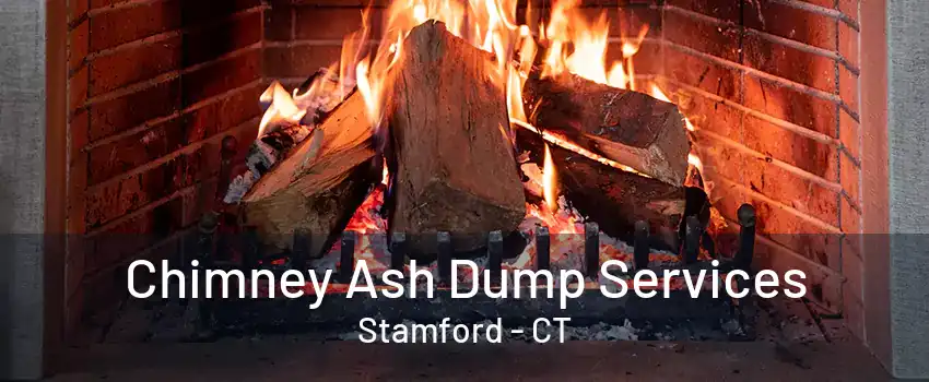 Chimney Ash Dump Services Stamford - CT