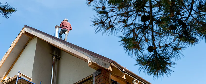 Birds Removal Contractors from Chimney in Stamford