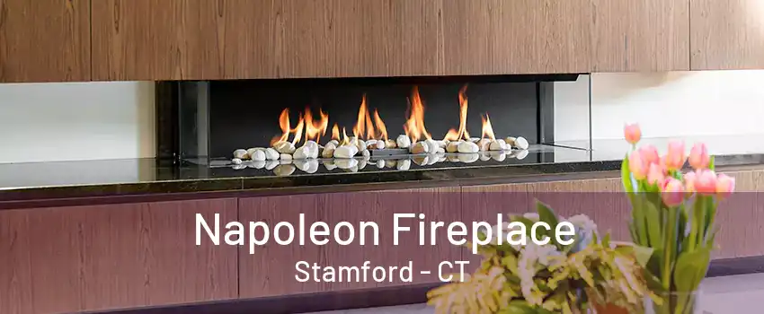 Napoleon Fireplace Stamford - CT