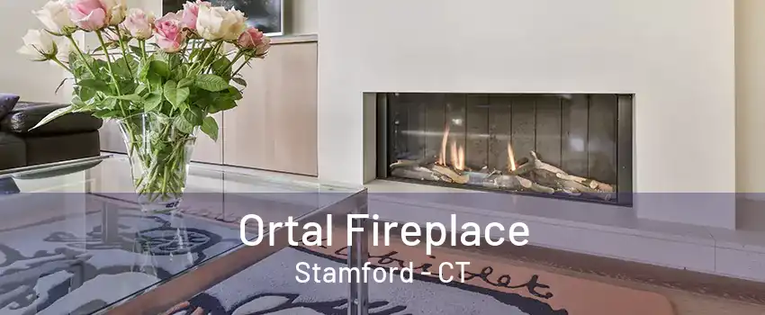 Ortal Fireplace Stamford - CT